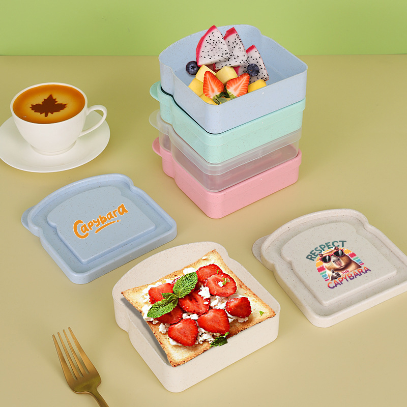 Capybara Sandwich-Aufbewahrung – Food Storage With Dividers Bewertung und Preis